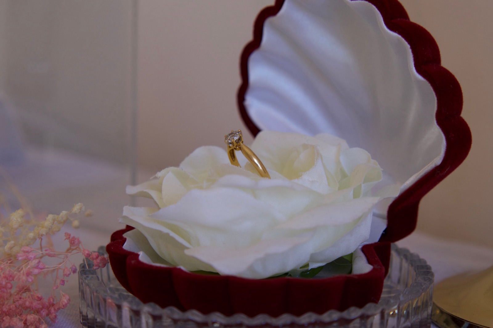 L'alliance posée sur une rose, dans son écrin de velours